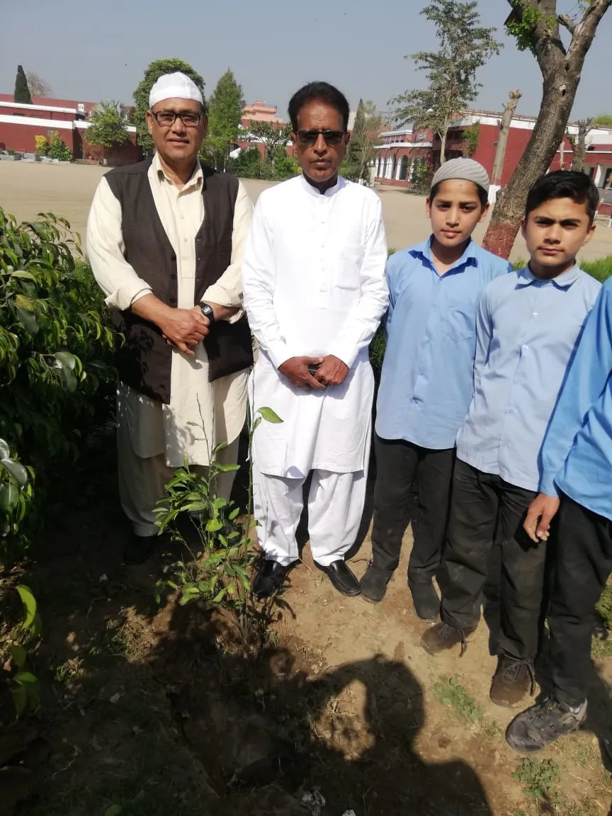 Green Seekers Activity